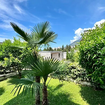 Musique Circlebnb Drimades * Χειμάρρα